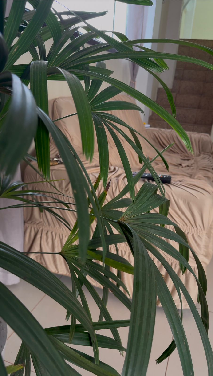 Hotel Beira Rio Opk - Área Comum 5