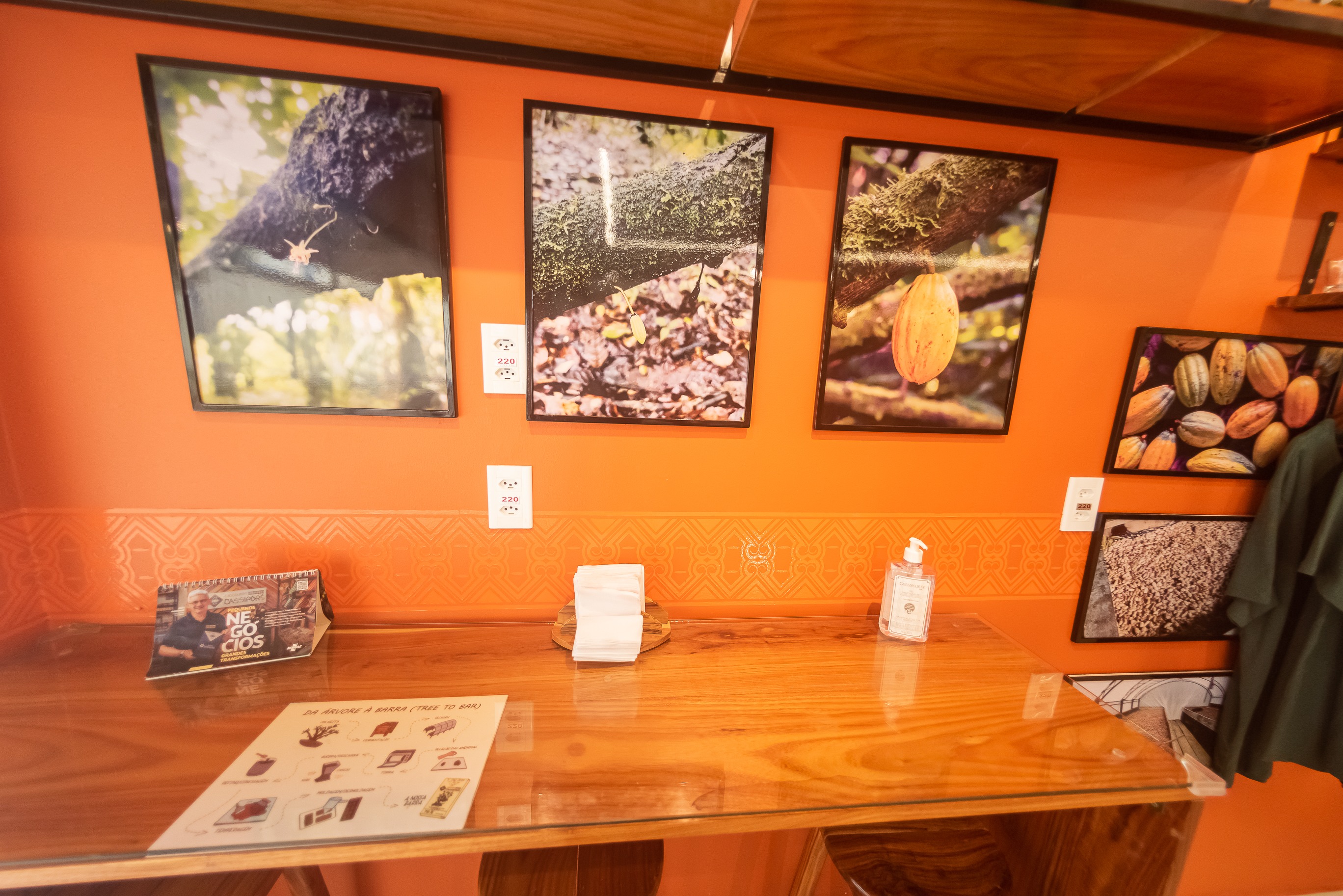 Chocolate Cassiporé - Foto 2