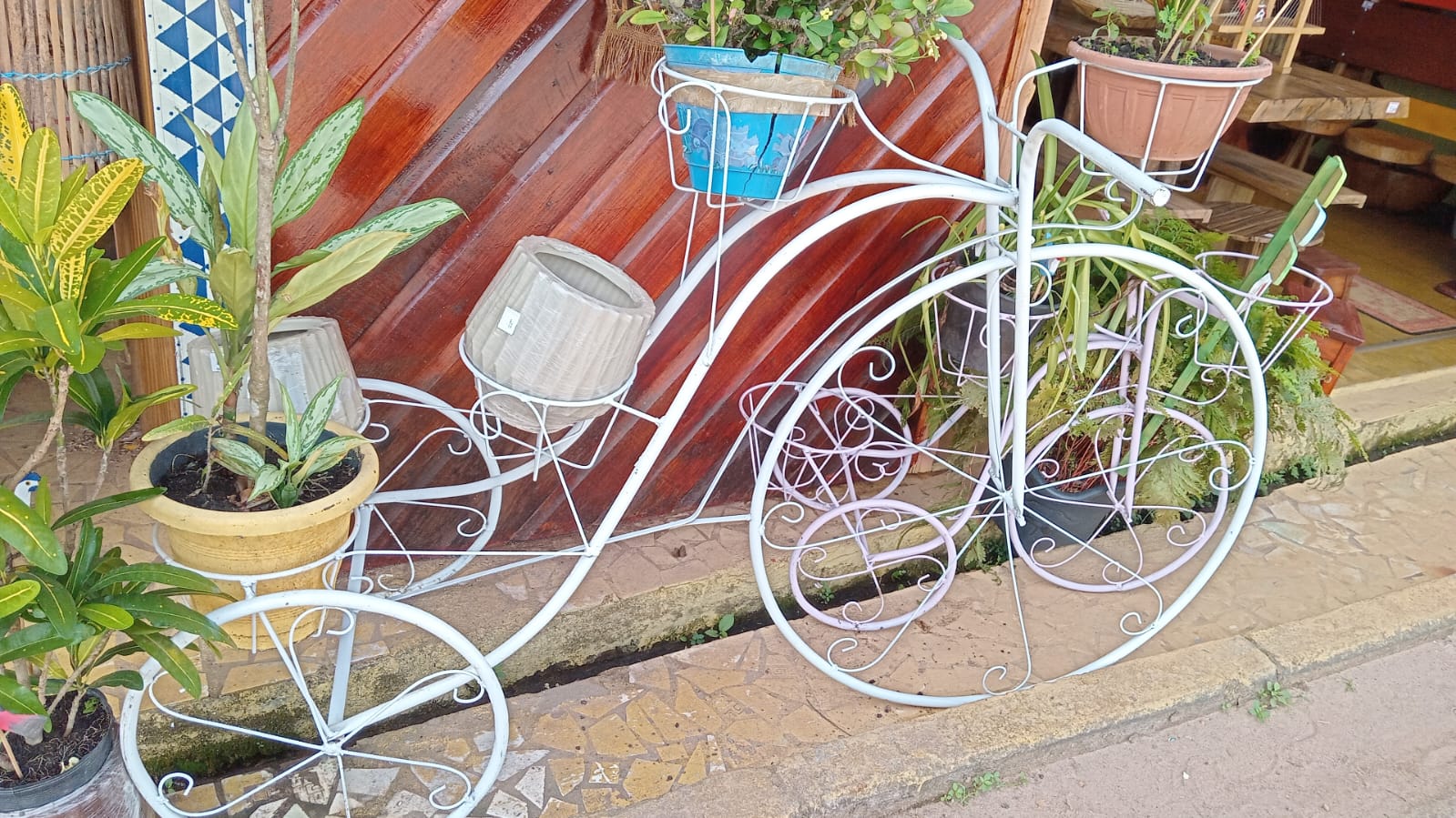 Mestre das Artes - Foto 7