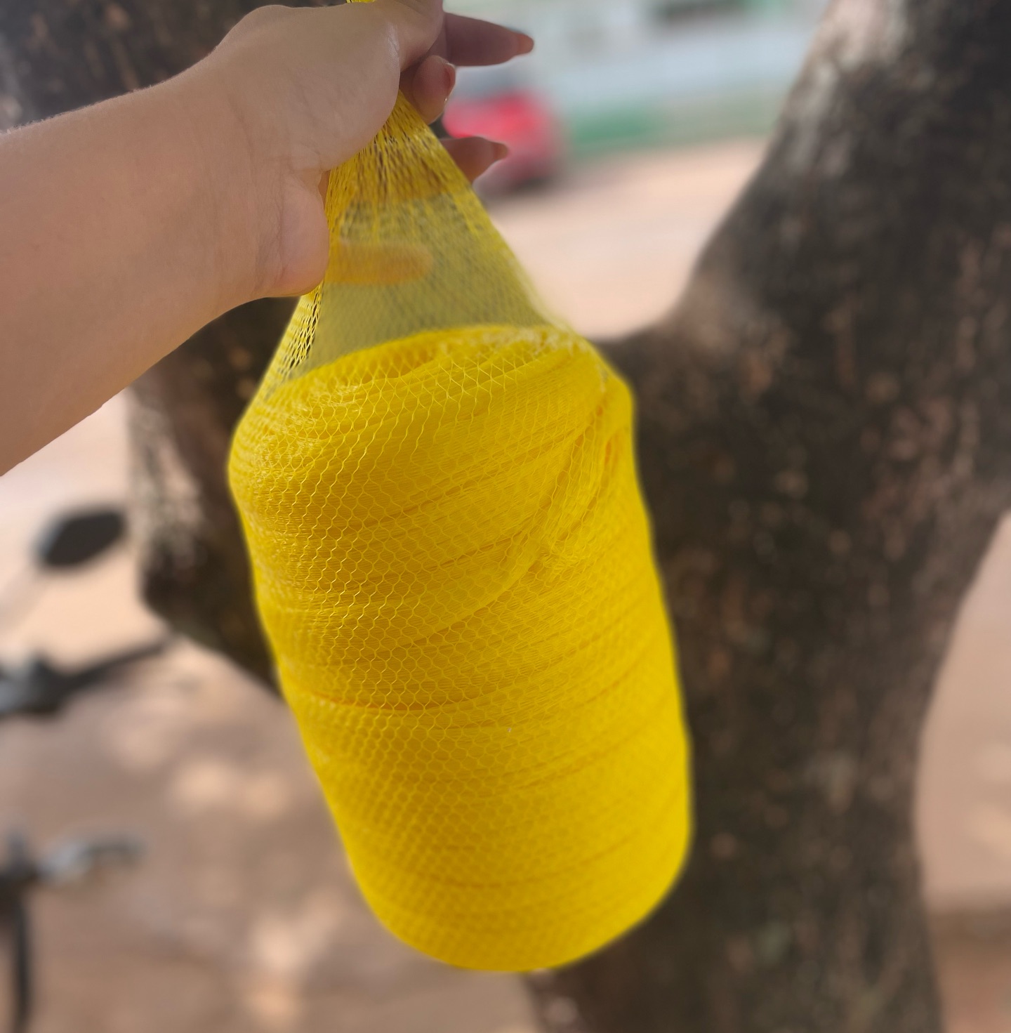 Tarrafa - 1000 metros