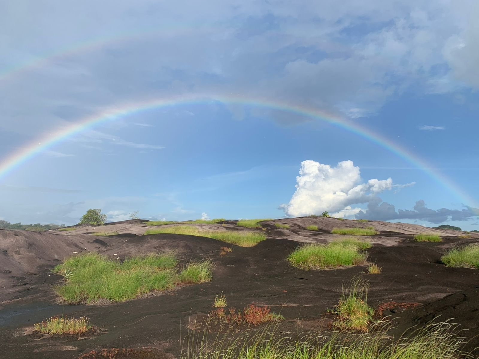 Pedra do Abacaxi - Foto 7