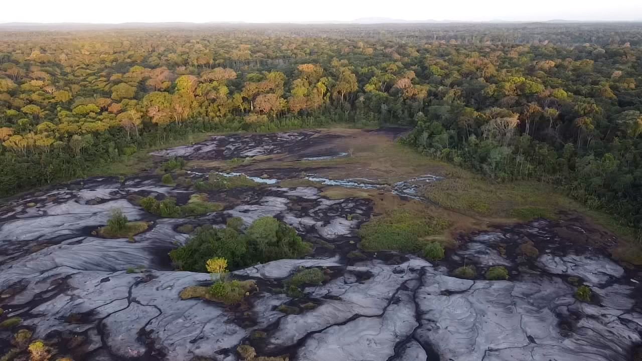Pedra do Abacaxi - Foto 10