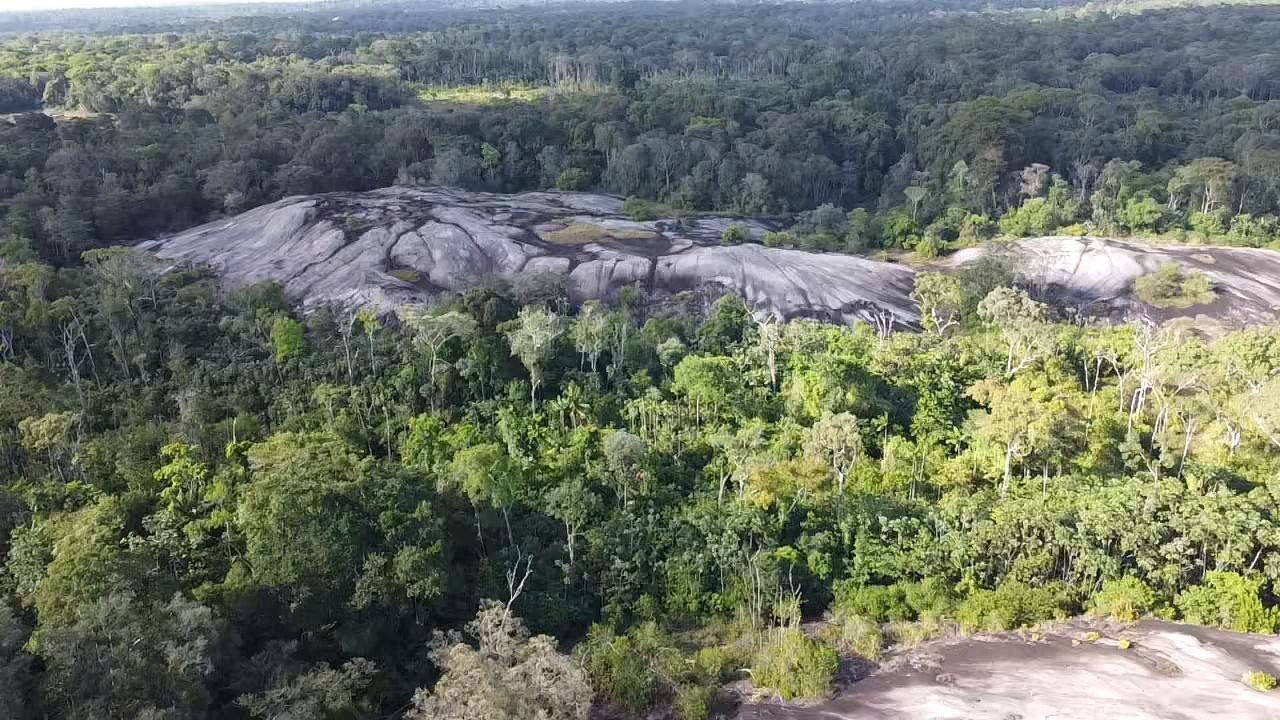 Pedra do Abacaxi - Foto 9