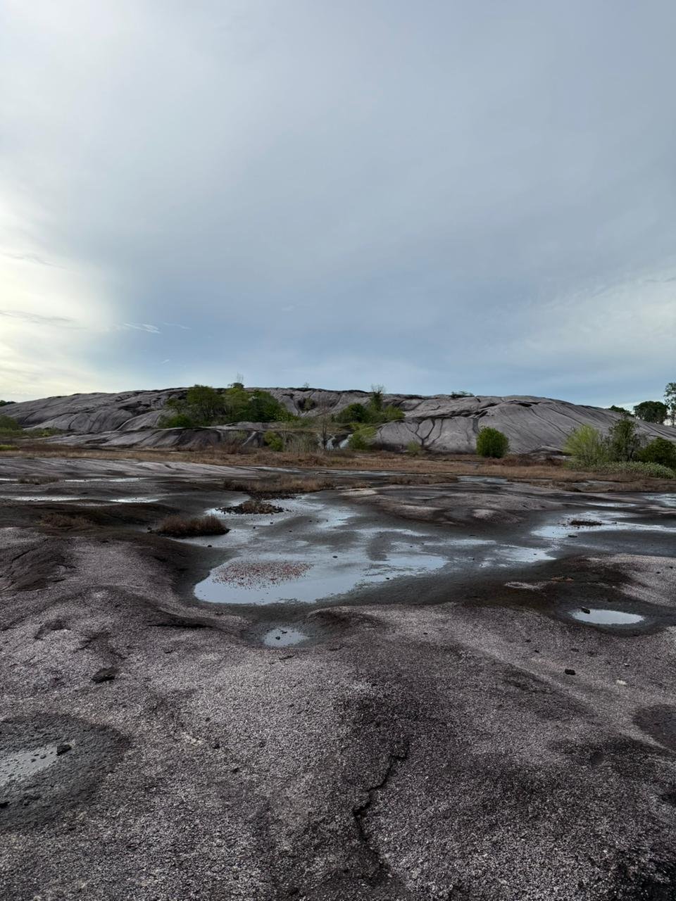 Pedra do Abacaxi - Foto 3