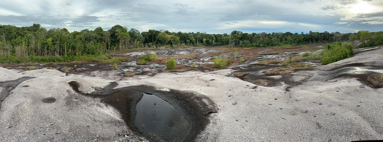 Pedra do Abacaxi - Foto 1