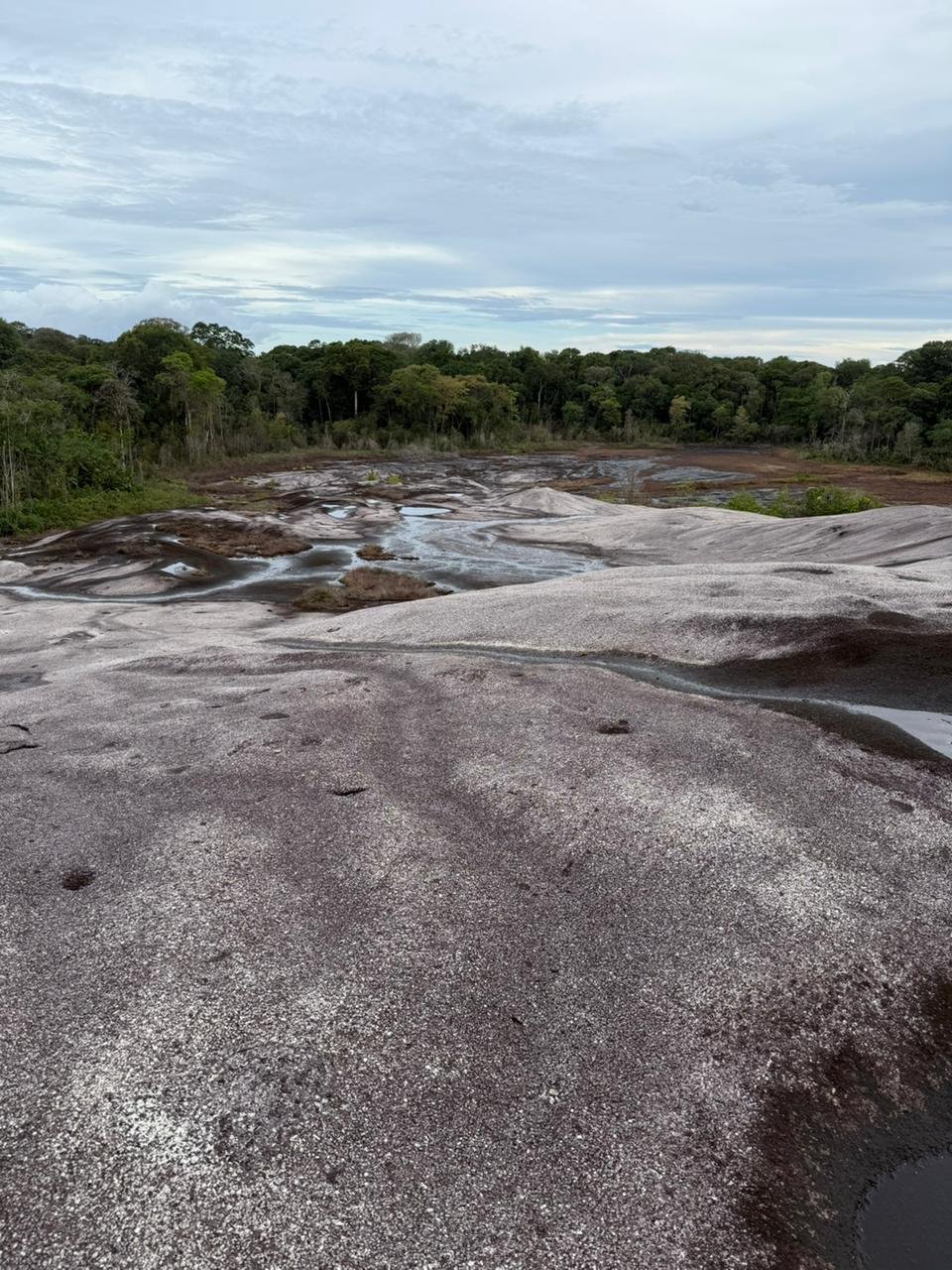 Pedra do Abacaxi - Foto 2