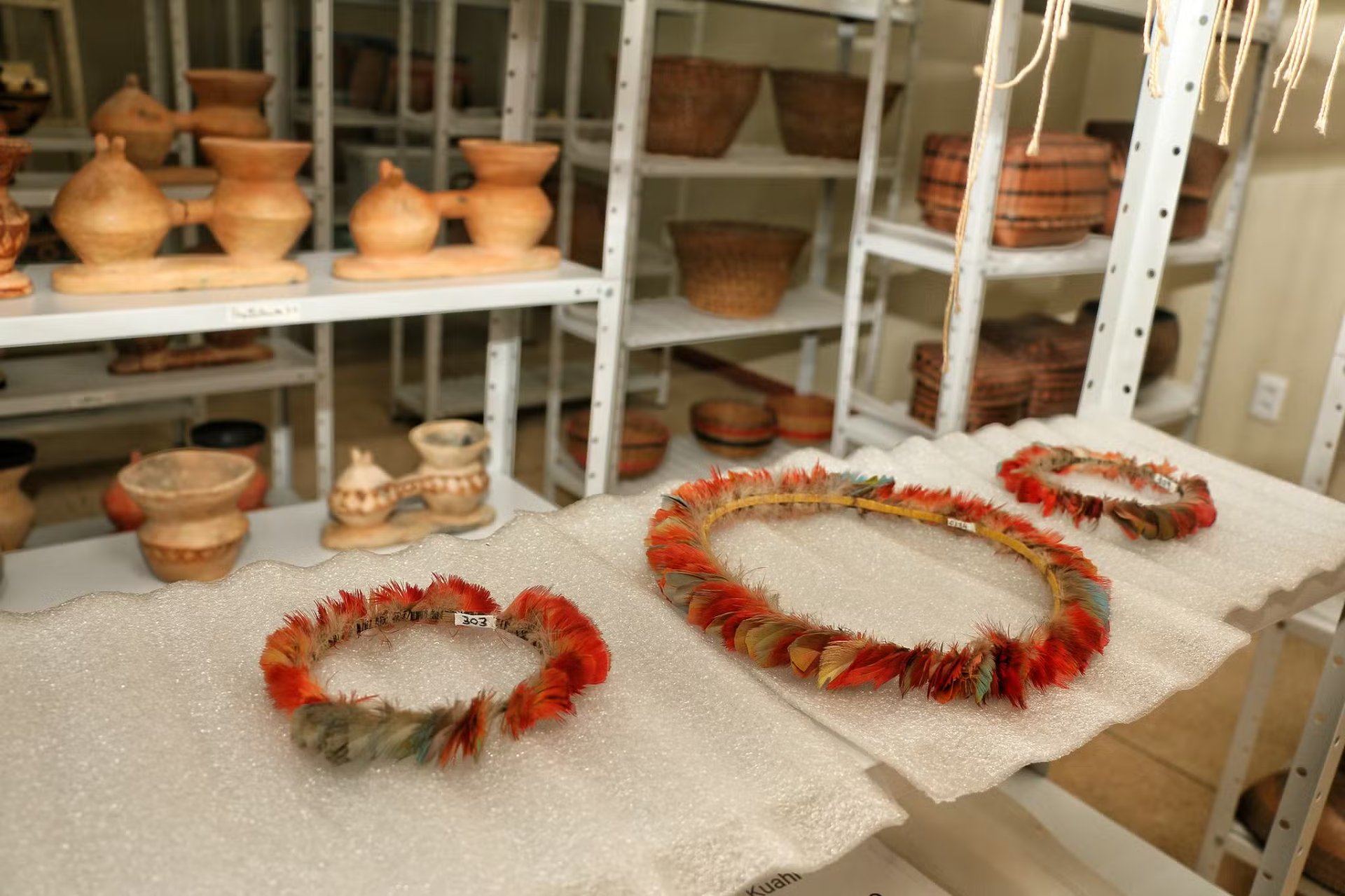 Museu Kuahi - Foto 2