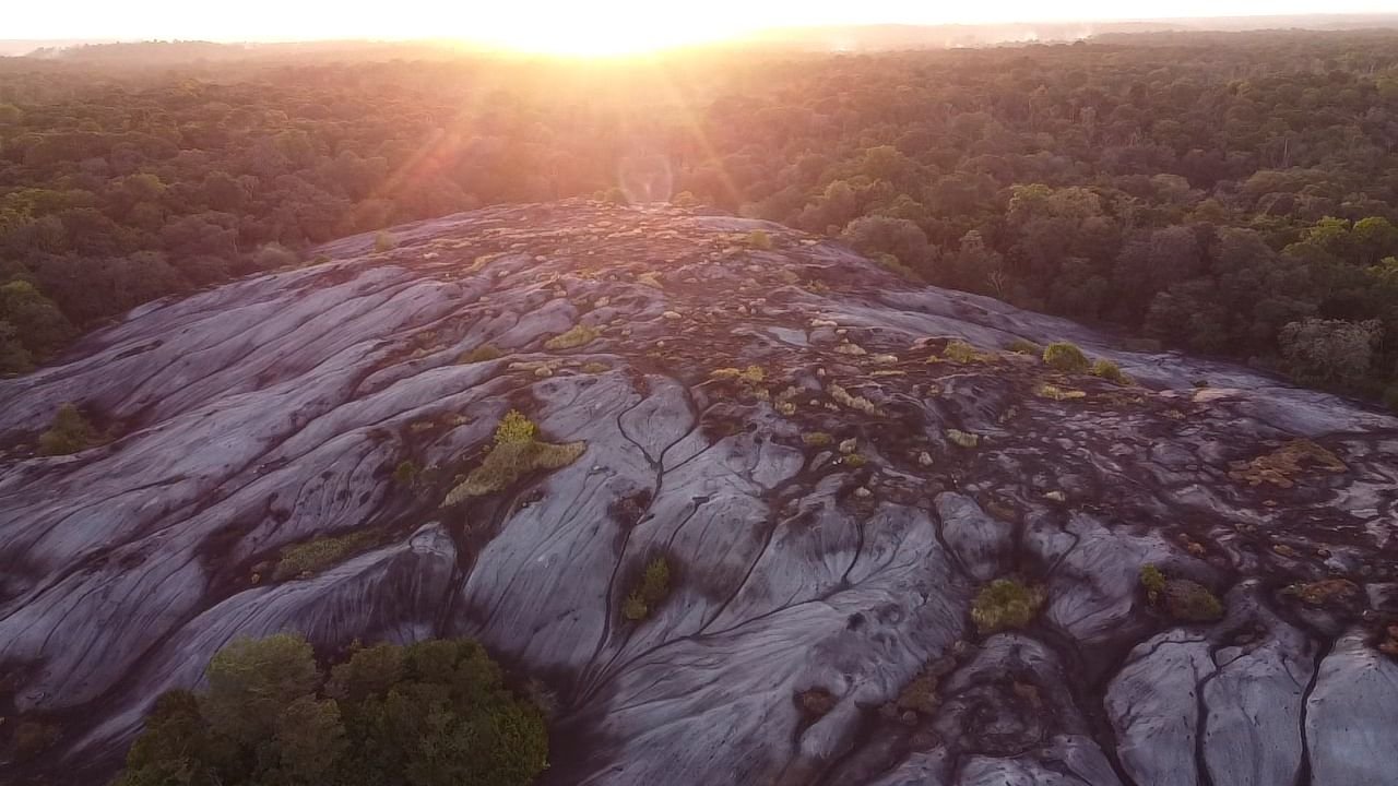 Pedra do Abacaxi - Foto 8
