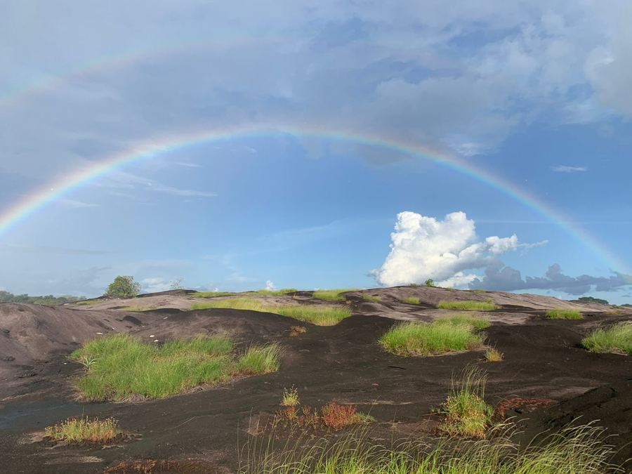 Pedra do Abacaxi - Foto 7